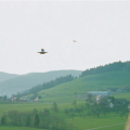 UFO chased by Mirage Jet.png